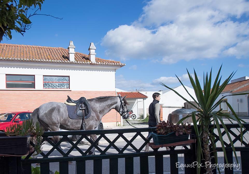 Inn Golegã Exterior foto